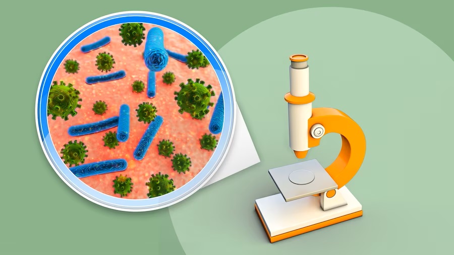 Recursos Biología año 1